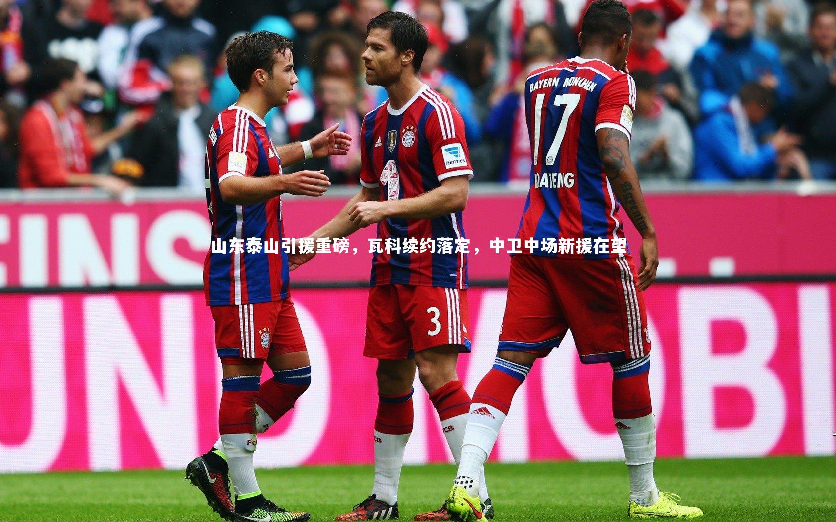 【熊猫体育官网】山东泰山引援重磅，瓦科续约落定，中卫中场新援在望